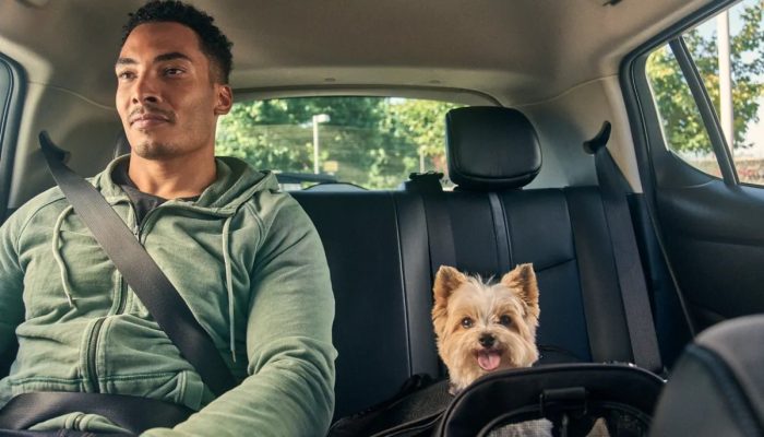 Uber Pet: o guia completo para transportar seu cão ou gato com segurança