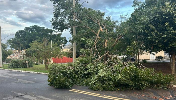 Varginha enfrenta 36 horas sem energia após temporal causar destruição